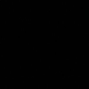 Meet your Posher, Eva